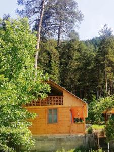 eine Holzhütte inmitten eines Waldes in der Unterkunft Guest House Ilia in Bordschomi