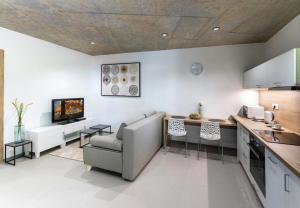 eine Küche und ein Wohnzimmer mit einem Sofa und einem Tisch in der Unterkunft Nerudovka apartment in Karlsbad