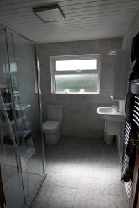 a bathroom with a toilet and a sink and a window at Maggies Cottage in Bushmills