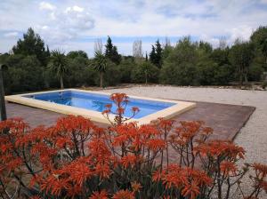einen Pool in einem Garten mit Orangenblüten in der Unterkunft Alojamiento Rural - Finca Santa Margarita in Algar