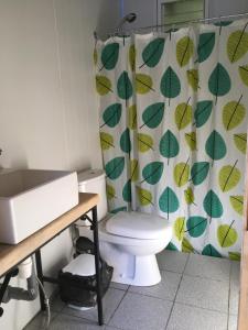 Koupelna v ubytování Huincaterra