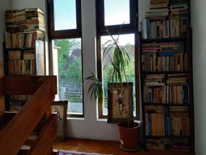 Φωτογραφία από το άλμπουμ του Pensiunea Carma σε Certeju de Sus