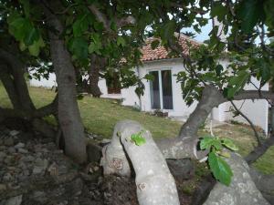Gallery image of Apartment Damir in Nerezine
