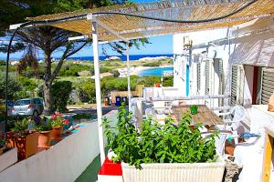 聖特雷莎加盧拉的住宿－Capo Testa Vista Mare，白色的植物房屋,享有海景