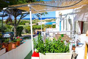a white house with plants and a view of the ocean at Capo Testa Vista Mare in Santa Teresa Gallura