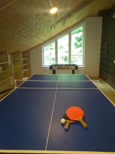 Ping-pong facilities at Willa Wiślok or nearby