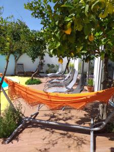 eine orangefarbene Hängematte auf einer Terrasse unter einem Zitronenbaum in der Unterkunft Casas do Ardila in Santo Amador