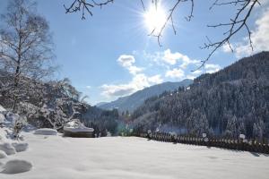 Príroda v okolí apartmánu