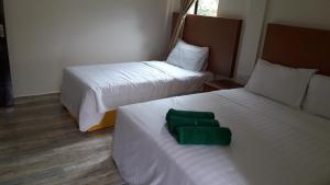 金馬崙高原的住宿－鬱金香公寓式酒店，一间酒店客房,配有两张床和绿色的物品