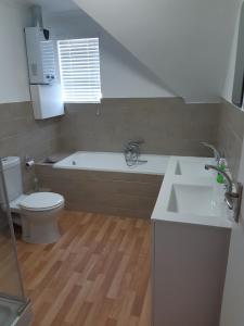 a bathroom with a tub and a toilet and a sink at Vlei Lofts in Cape Town