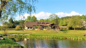 a house on a hill next to a lake at Agroturystyka Szafarnia 19 in Kurzętnik