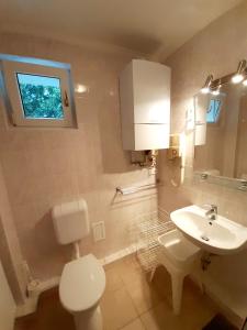 Apartment Pension Rideg Heviz في هفيز: حمام به مرحاض أبيض ومغسلة