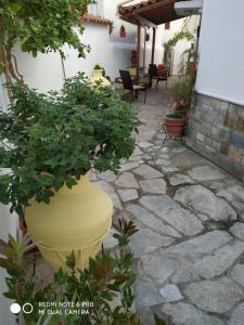 Fotografie z fotogalerie ubytování Pension Nikolas v destinaci Skiathos