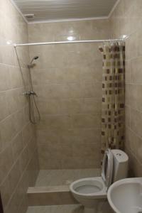 een badkamer met douche, toilet en wastafel bij Сердце Каньона in Kamjanets-Podilsky