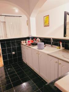 a kitchen with a sink and a counter top at Hostel Holiday Cetinje in Cetinje