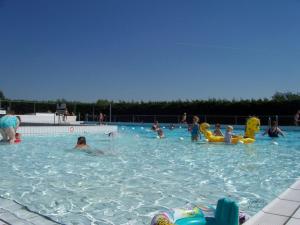 a group of people swimming in a swimming pool at House on park "Zijper Eilant" in Oudesluis