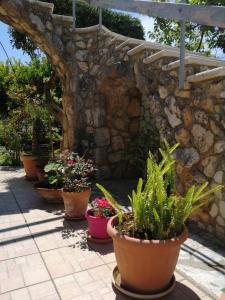 a group of potted plants sitting next to a stone wall at Casa Vacanze Spiaggia Playa in Castellammare del Golfo