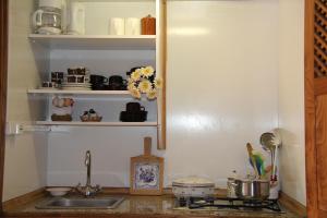 Η κουζίνα ή μικρή κουζίνα στο Quinta de S.Vicente