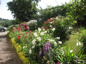 A garden outside Lizargarate