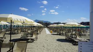 a bunch of chairs and umbrellas on a beach at Stabilimento Balneare Città Giardino - Casa Vacanza in Viareggio