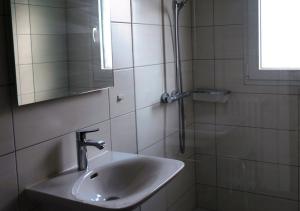 y baño con lavabo, espejo y ducha. en Hôtel de Torgon, en Vionnaz