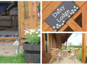 Foto sihtkohas Looe asuva majutusasutuse Daisy Lodge galeriist