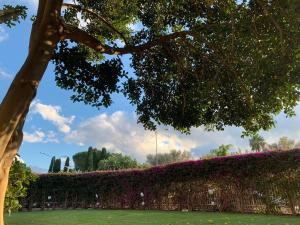 a hedge with pink flowers in a park at Il Giardino di Venere in Mondello