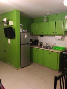 eine grüne Küche mit grünen Schränken und einem Kühlschrank in der Unterkunft Apartamento Aquarel in Boca Chica