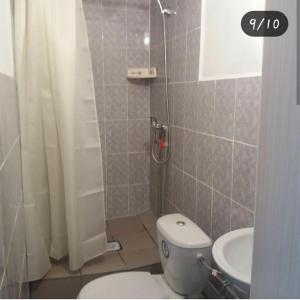 a bathroom with a toilet and a shower and a sink at Отдых на Балхаше in Balqash