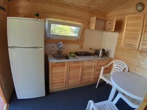 
a kitchen with a refrigerator and a stove at Svistunovo Camping in Staritsa
