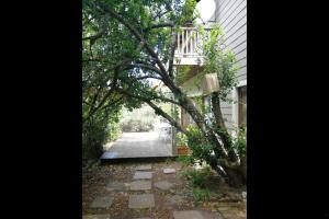 Stone Cottage at Pirates Creek外面的花园