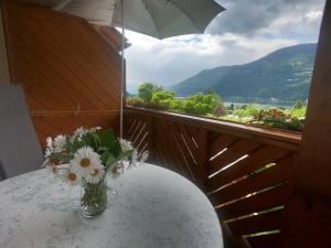 Splošen pogled na gorovje oz. razgled na gore, ki ga ponuja apartma