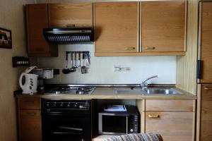 a kitchen with a black stove and a microwave at Robinson Crusoe in Waldbrunn