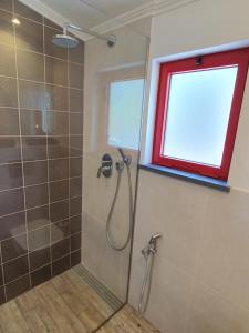 a bathroom with a shower with a window and a glass door at Casinha de Nesquim in Calheta de Nesquim +17 photos