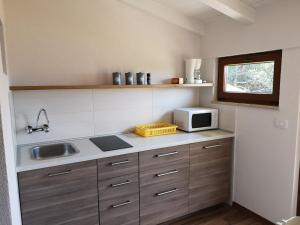 una pequeña cocina con fregadero y microondas en Apartment Sinčić en Novigrad Istria