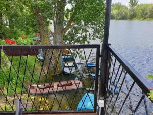 a balcony with a tree and boats in the water at B&B Bela Vrba in Bačko Novo Selo