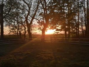 un tramonto in un campo con recinzione e alberi di Ferienwohnung Warderhof a Sandstedt