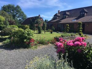 a garden with pink flowers in front of a house at La Jolimessine in Jolimetz