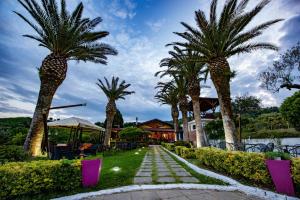 皮佐的住宿－索拉戈博爾戈Il酒店，一条走道旁的一排棕榈树
