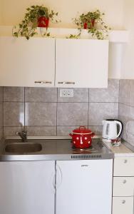 Kuchyň nebo kuchyňský kout v ubytování Apartments Neda