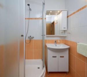 a bathroom with a shower and a sink and a toilet at Apartments Silvana in Sveta Nedelja +110 photos