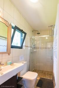 Casal da CarreiraにあるGîte CANTO AZULのトイレとガラスのシャワー付きのバスルーム
