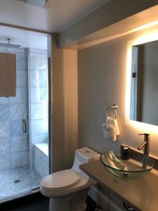Bellevue House في نيوبورت: حمام مع مرحاض ومغسلة ودش