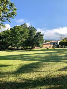 a large field of grass with trees in the background at Departamento pie del cerro in Yerba Buena