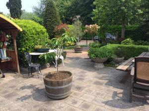 een patio met een tafel en stoelen en een boom in een vat bij Appartement Blom in Dordrecht