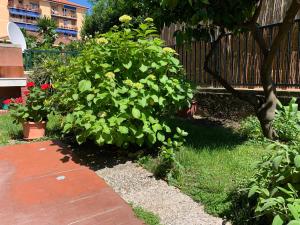 Zdjęcie z galerii obiektu Il giardino dei limoni w mieście Chiavari