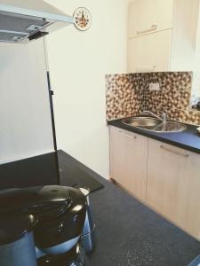 Kuchyň nebo kuchyňský kout v ubytování Apartment Surdić