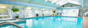 a swimming pool with penguins in the water at Eastern Slope Inn Resort in North Conway