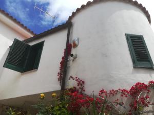 un edificio bianco con finestre e fiori verdi di Casa Masseria Le Ville a Peschici