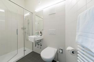 a bathroom with a toilet and a shower and a sink at Dom Studios in St. Gallen